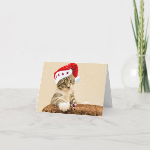 Merry Christmas. Card