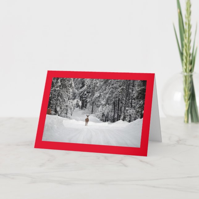 Merry Christmas Card (Front)