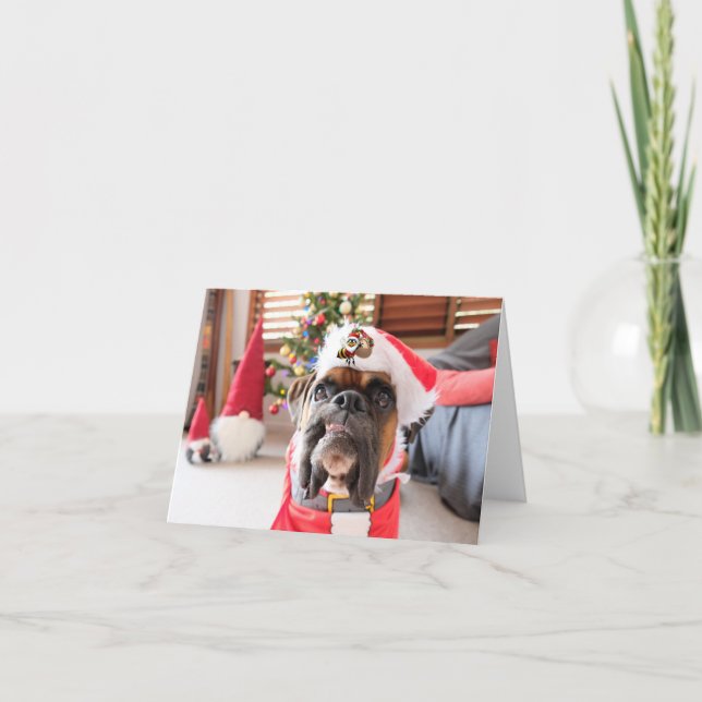 Merry Christmas.  Card (Front)