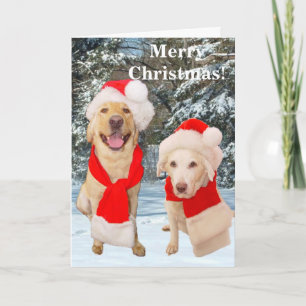 Merry Christmas Card
