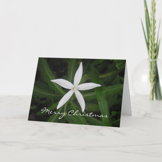 Merry Christmas Card (Front)