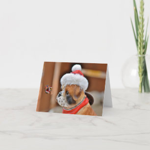 Merry Christmas. Card