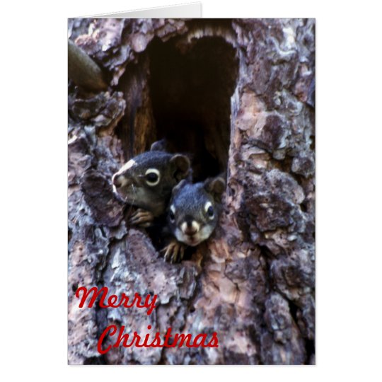 Merry Christmas Card