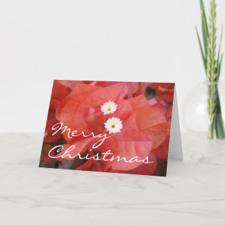 Merry Christmas Card