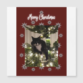 Merry Christmas card with Tuxedo cat on my tree.