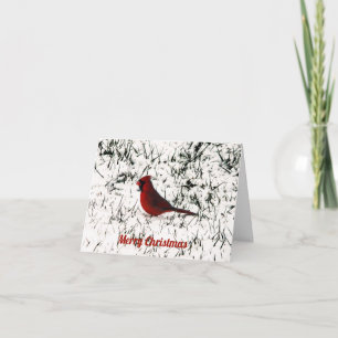 Merry Christmas Cardinal Card