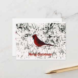 Merry Christmas Cardinal Flat Card