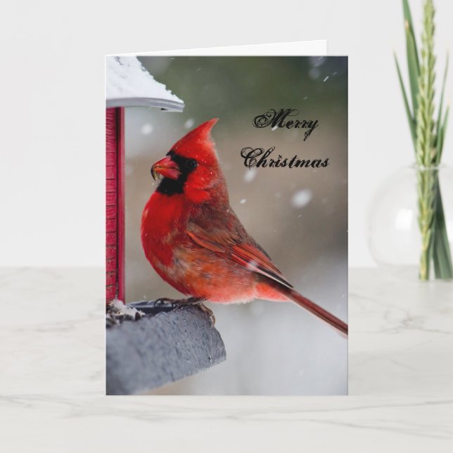Merry Christmas Cardinal Holiday Card (Front)