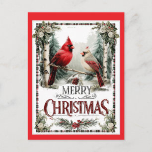 Merry Christmas Cardinal Illustration Postcard