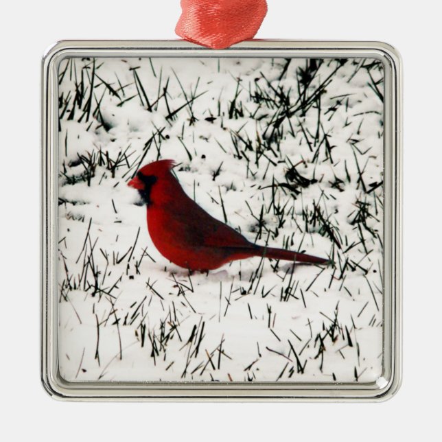 Merry Christmas Cardinal Metal Tree Decoration (Front)