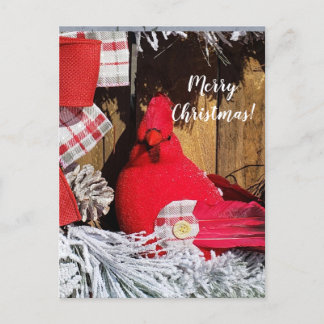 Merry Christmas Cardinal Postcard
