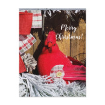 Merry Christmas Cardinal