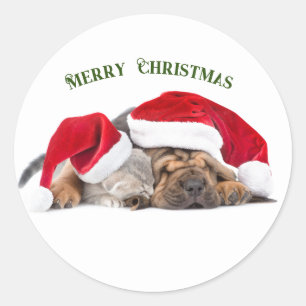 Merry Christmas cat and dog Classic Round Sticker