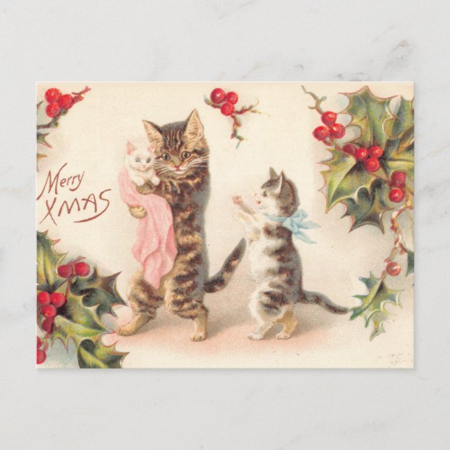 Merry Christmas Cat and Kittens Holly Vintage  Postcard (Front)