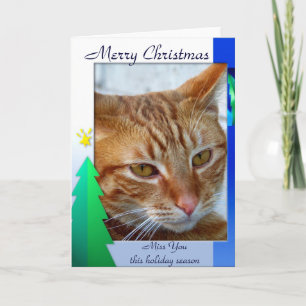 Merry Christmas,cat_Card Holiday Card