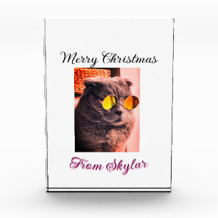 Merry Christmas cat dog pet animal love photo Block