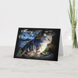 Merry Christmas - Cat greeting card