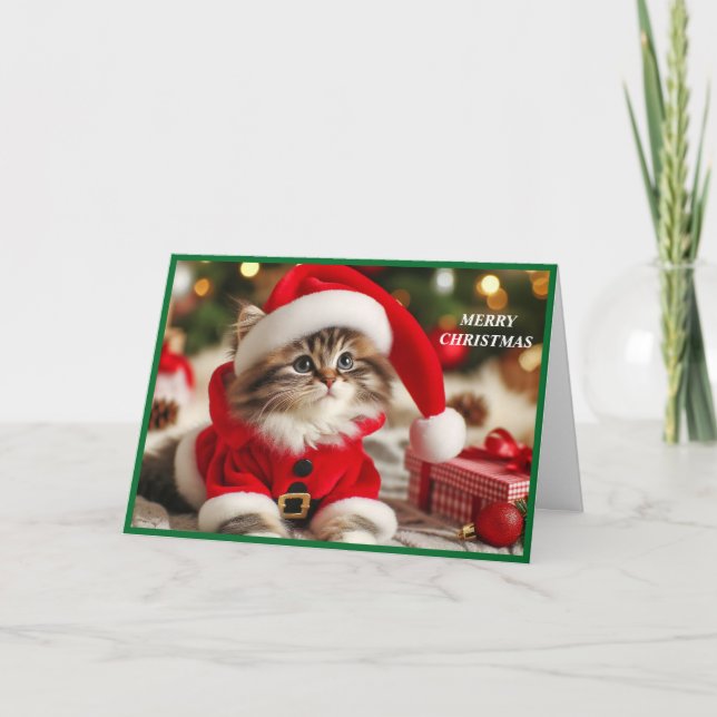 Merry Christmas Cat Holiday Card (Front)