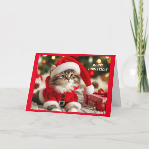 Merry Christmas Cat Holiday Card