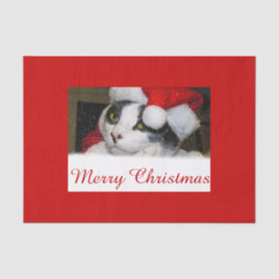 Merry Christmas - Cat in Santa Claus Clothes Tissue Paper