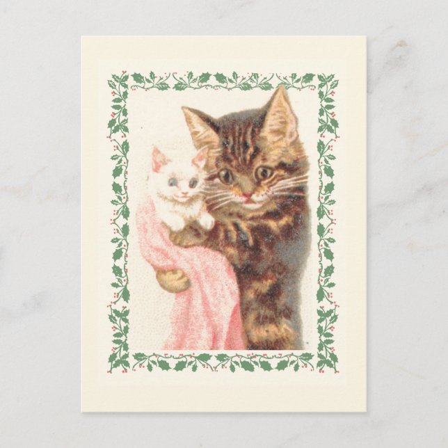 Merry Christmas Cat Kitten Holly Vintage Holiday Postcard (Front)