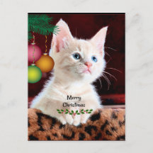 Merry Christmas Cat Ornament