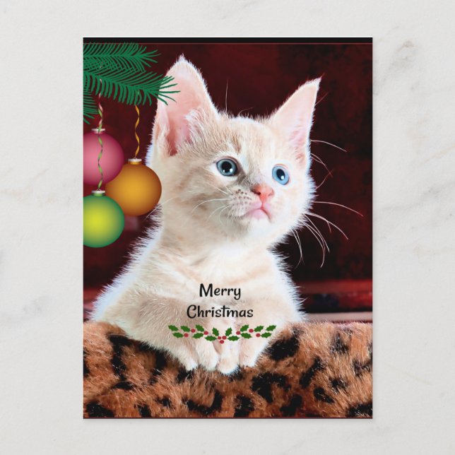 Merry Christmas Cat Ornament Postcard (Front)