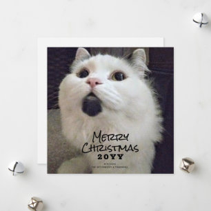 Merry Christmas Cat Pet Photo Holiday Card