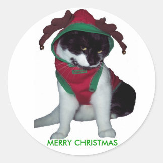 MERRY CHRISTMAS CAT STICKER