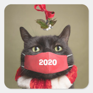 Merry Christmas Cat Under Mistletoe in Face Mask Square Sticker