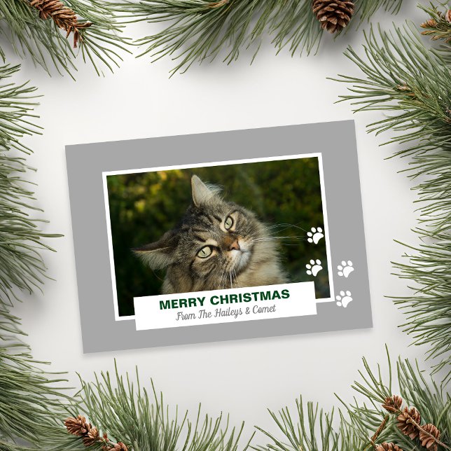 Merry Christmas Cat White Paw Prints Photo Holiday Card (Merry Christmas Cat White Paw Prints Photo Holiday Card)