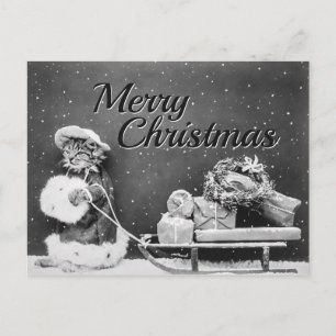 Merry Christmas Cat with Gifts, Sled & Snow Postcard