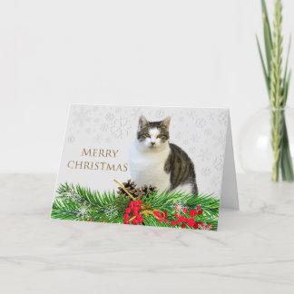 Merry Christmas Cat with Greenery Holiday  Card