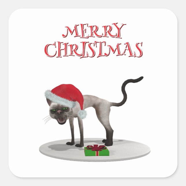 Merry Christmas. Cat with Santa hat Square Sticker (Front)