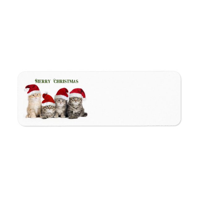 Merry Christmas Cats (Front)