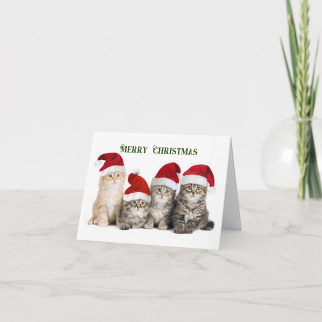 Merry Christmas Cats Holiday Card (Front)