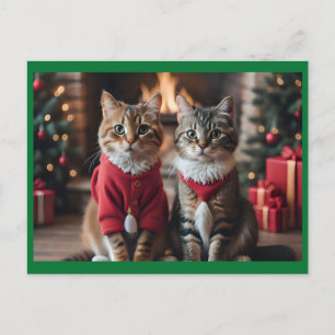 Merry Christmas Cats Holiday Postcard