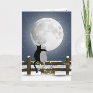 Merry Christmas Cats on a Winter Fence  Holiday Card
