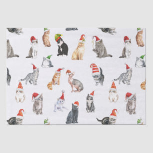 Merry Christmas Cats with Santa Hats Tissue Paper