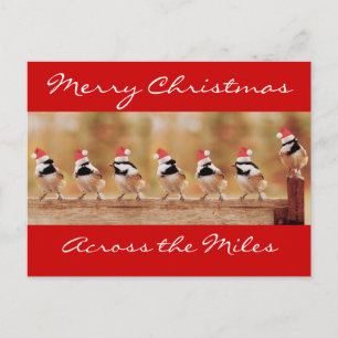 Merry Christmas Chickadees Postcard