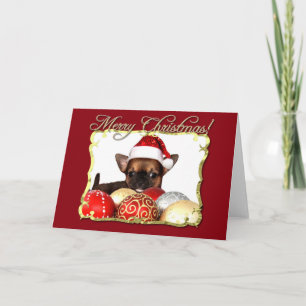 Merry Christmas  chihuahua puppy Holiday Card