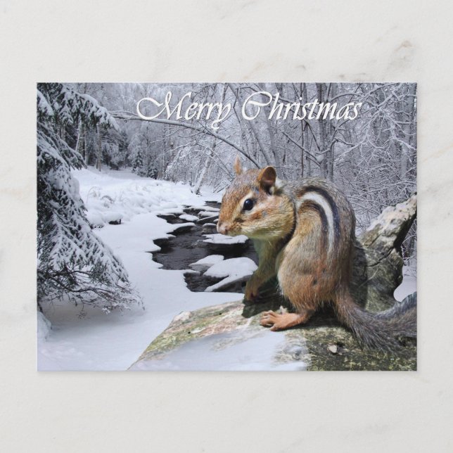 Merry Christmas Chipmunk Postcard (Front)
