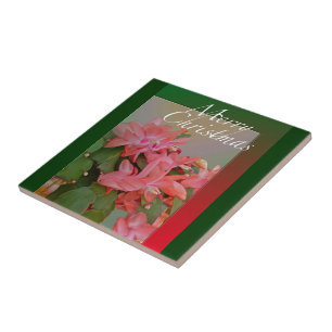 Merry Christmas Christmas Cactus Flowers Tile