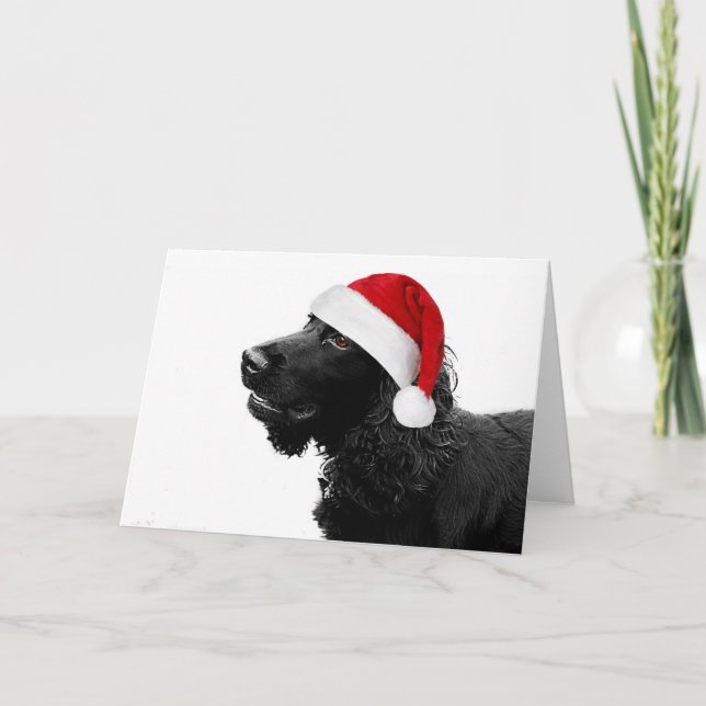Merry Christmas Cocker Holiday Card (Front)