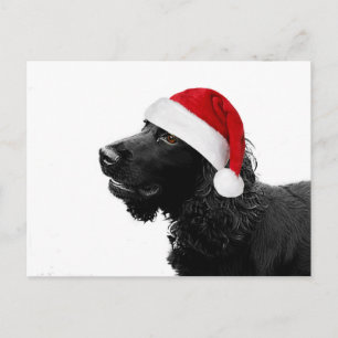 Merry Christmas Cocker Holiday Postcard