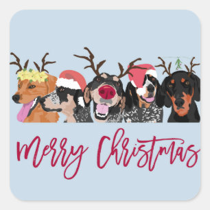 Merry Christmas Coonhound Head  square sticker