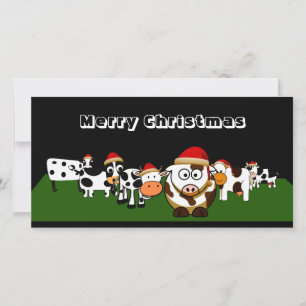 Merry Christmas Cows Holiday Card