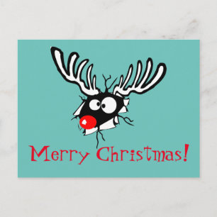 Merry Christmas! Crazy Red Nosed Reindeer Holiday Postcard