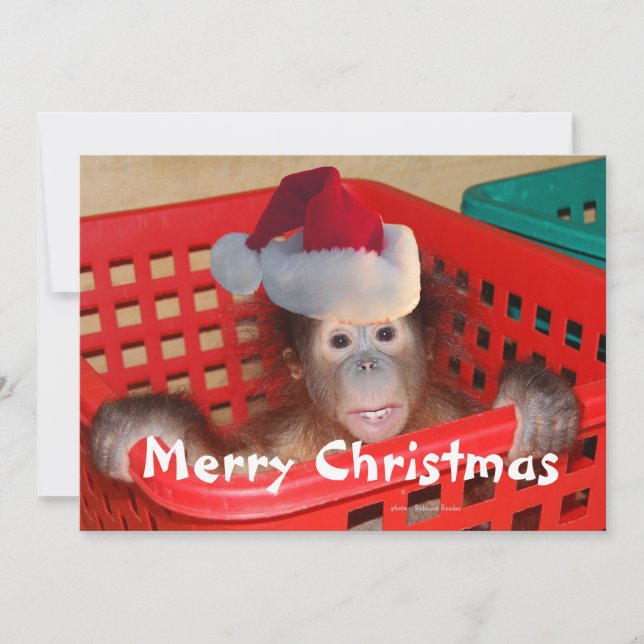 Merry Christmas Create your own message Invitation (Front)