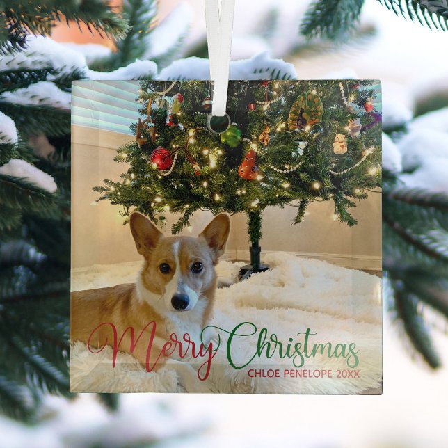 Merry Christmas Custom Pet Photo Beautiful Dog Glass Tree Decoration (Creator Uploaded)